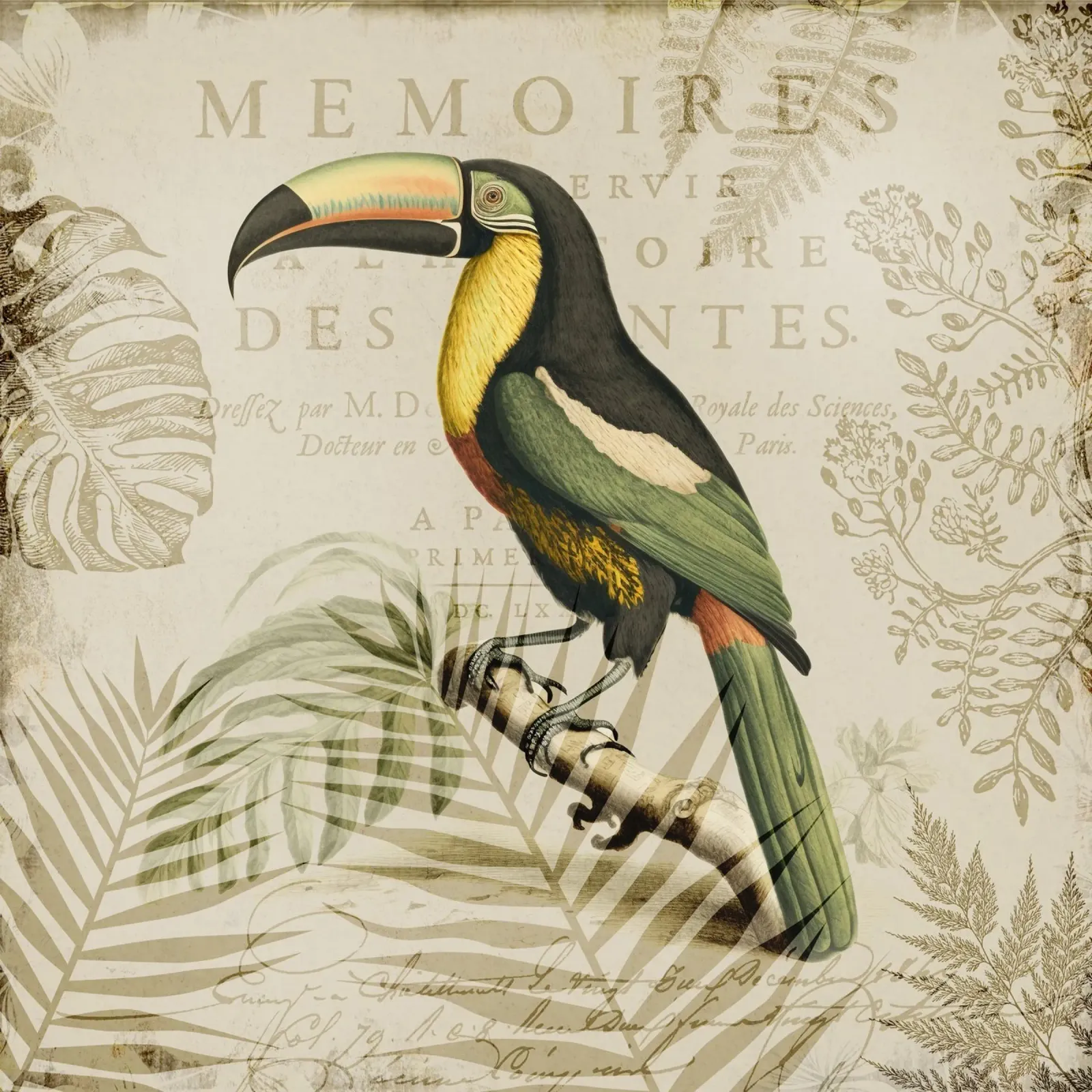 Paradiso tropicale dei tucani pellicola backlit da Andrea Haase Vintage World