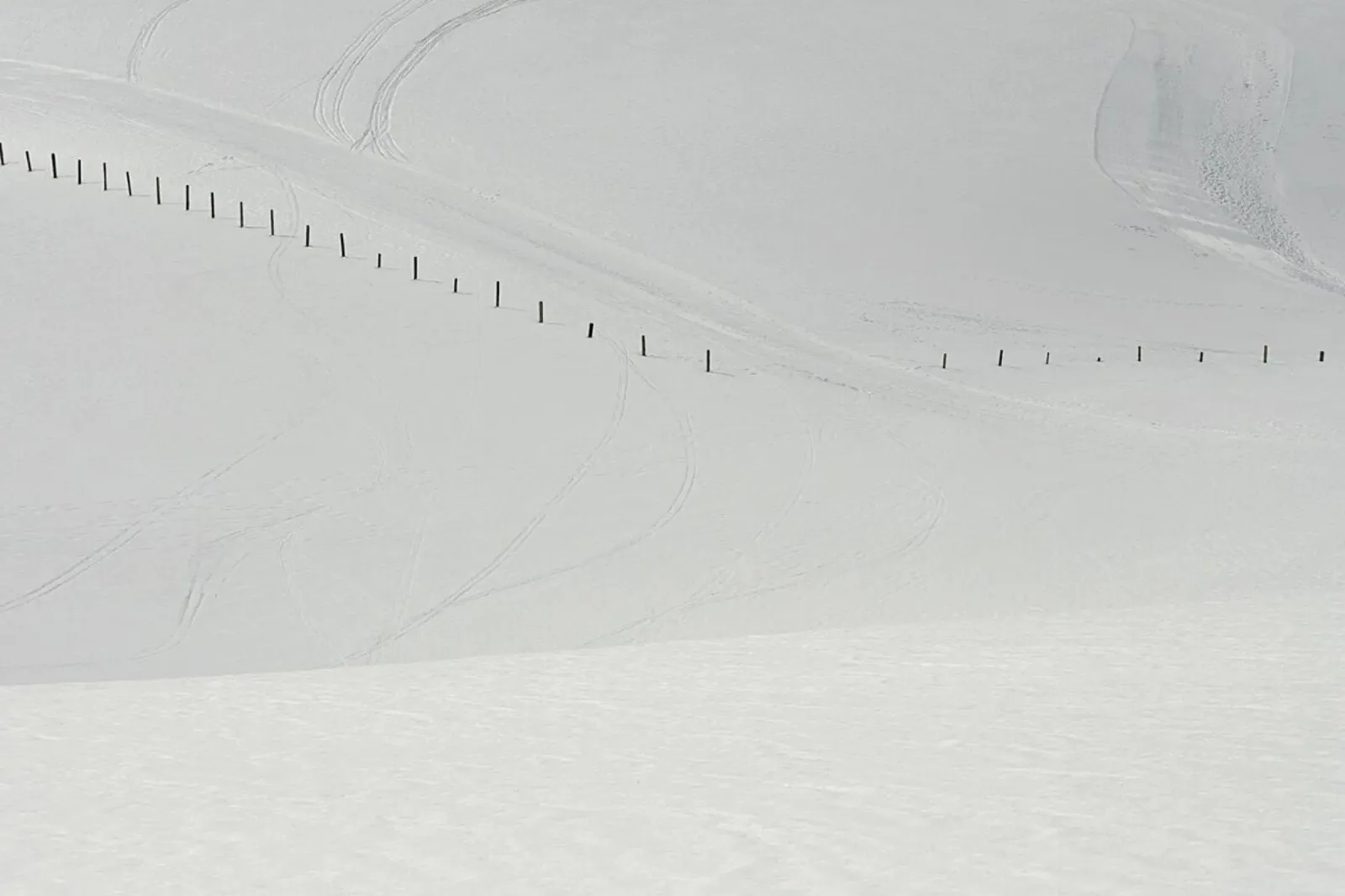 Lines in the Snow pellicola backlit da Nur Mut