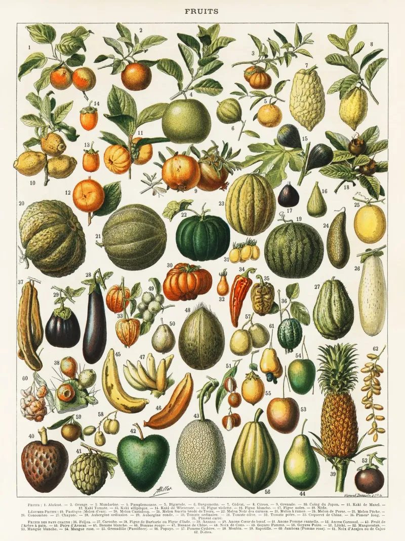 fruits and vegetables pellicola backlit da vintageshop