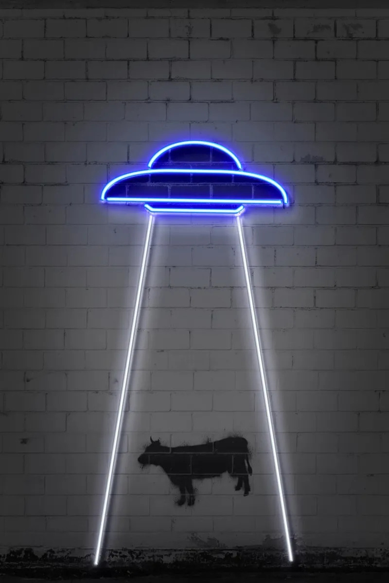 Ufo poster con telaio in plastica da Octavian