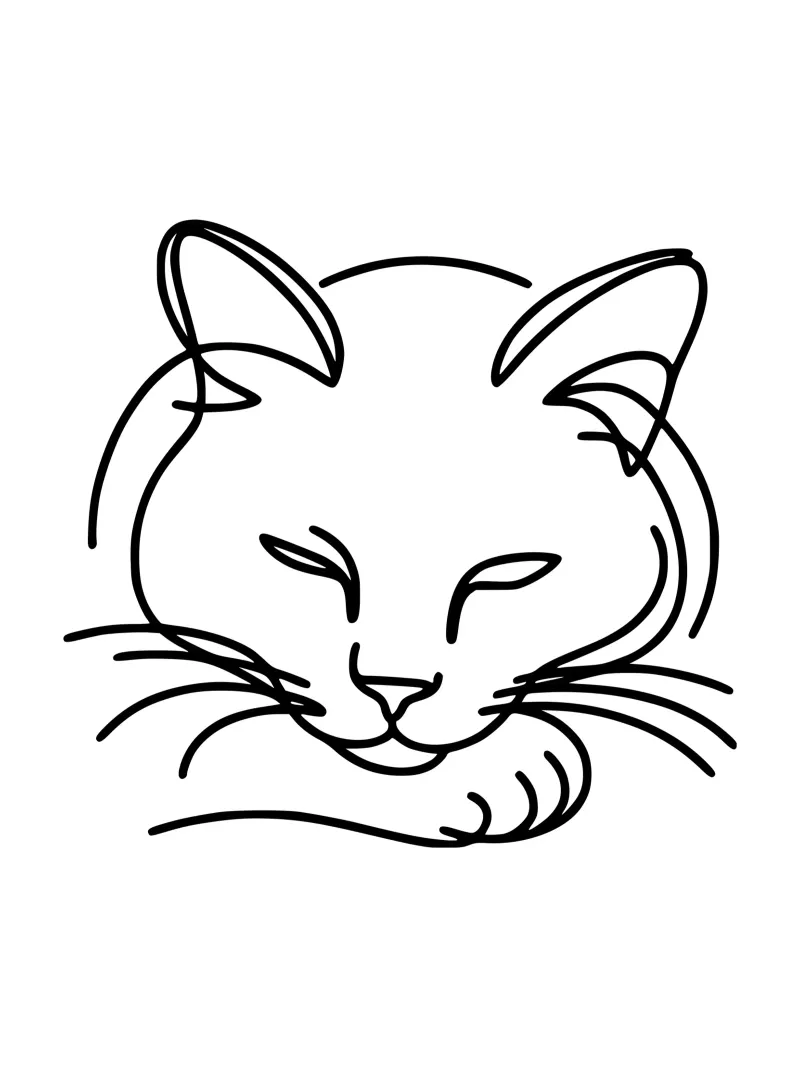 Cool Cat - The relaxed cat canvas by Bold & Simple
