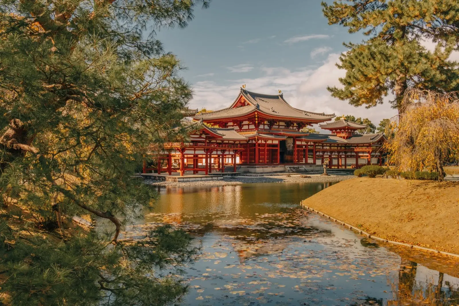 Tempio di Byodoin a Kyoto, Giappone pellicola backlit da Marcel Bisig