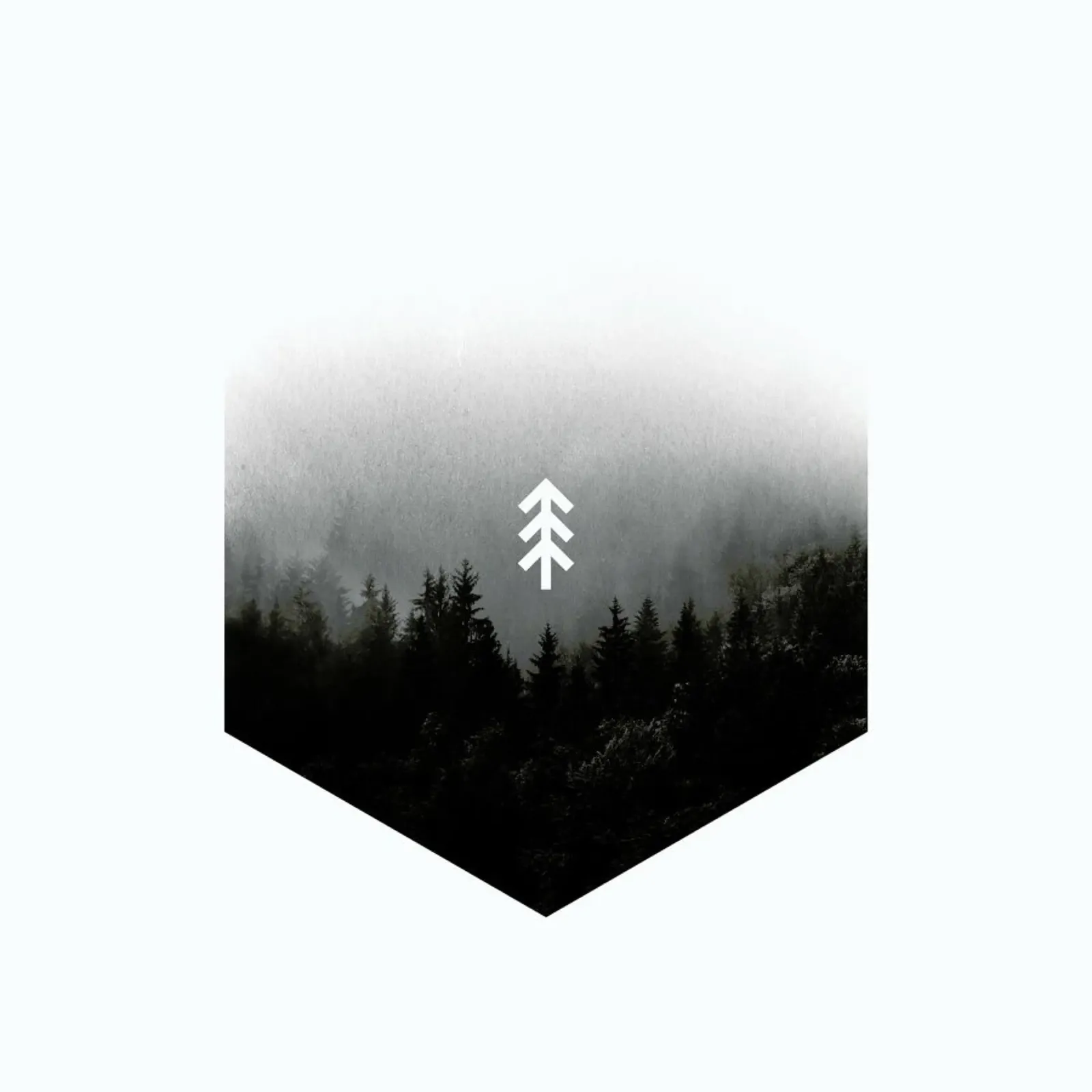 Forest Hex carta hahnemühle da Chris Wharton