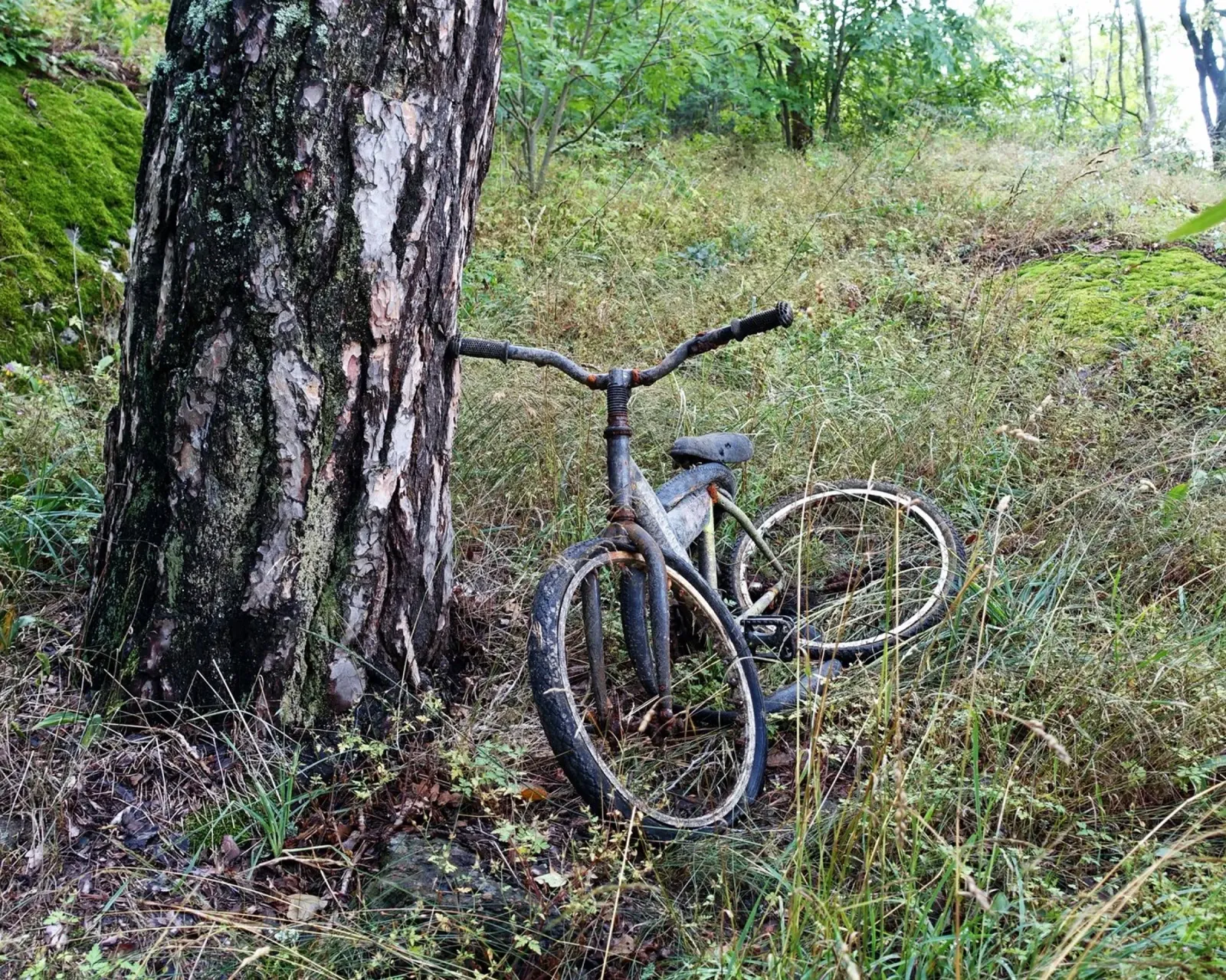 La bicicletta abbandonata tela con Cornice a cassetta da Massimo Frascogna