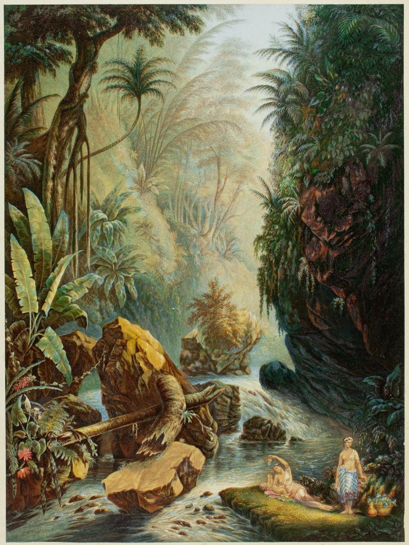 River In The Jungle poster de vintageshop