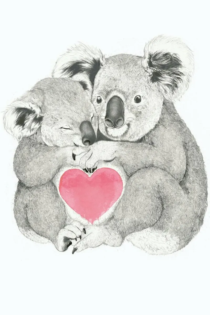 Koala hahnemühle by Laura Graves