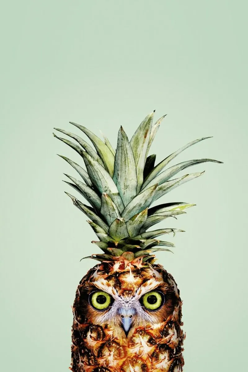 Pineapple Owl poster con telaio in legno da Jonas Loose