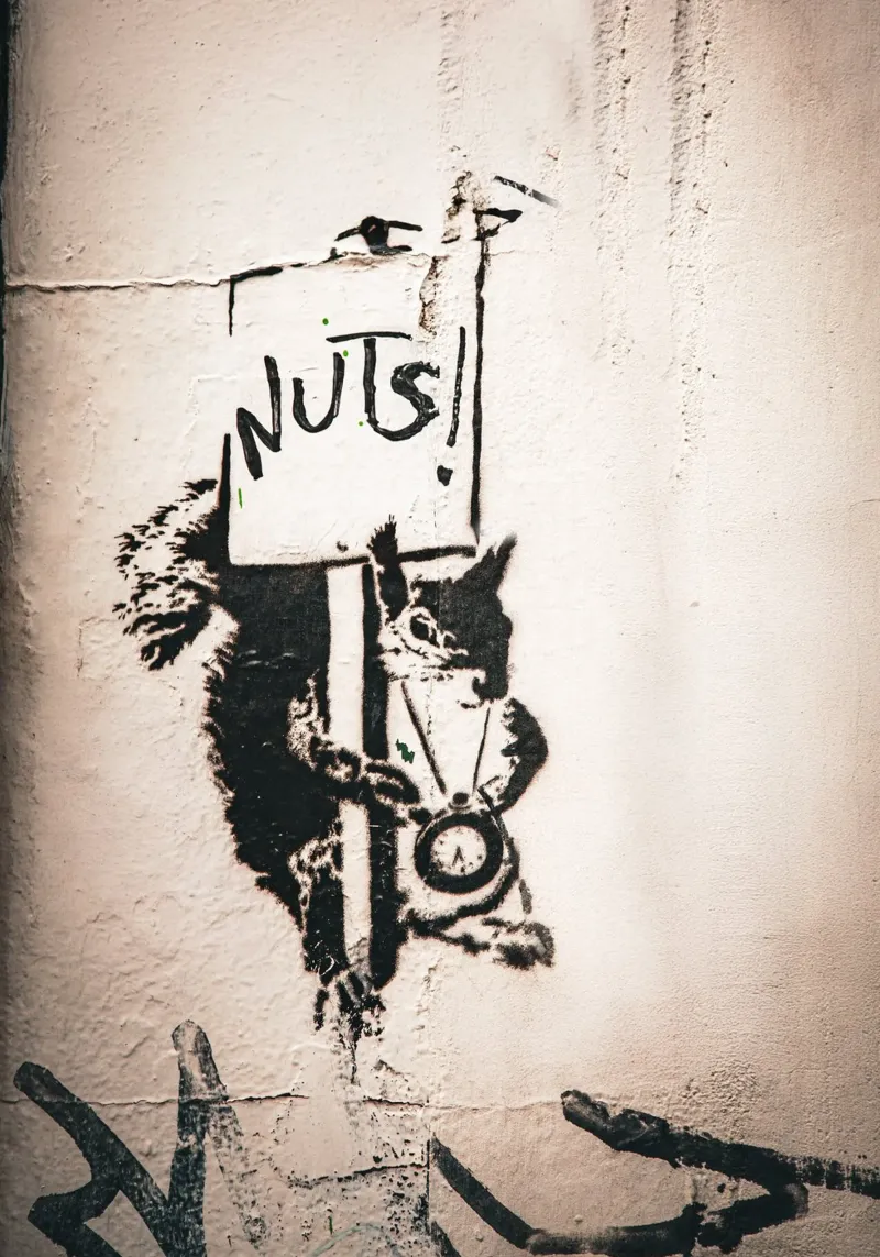 Nuts pellicola backlit da Jonas Klein