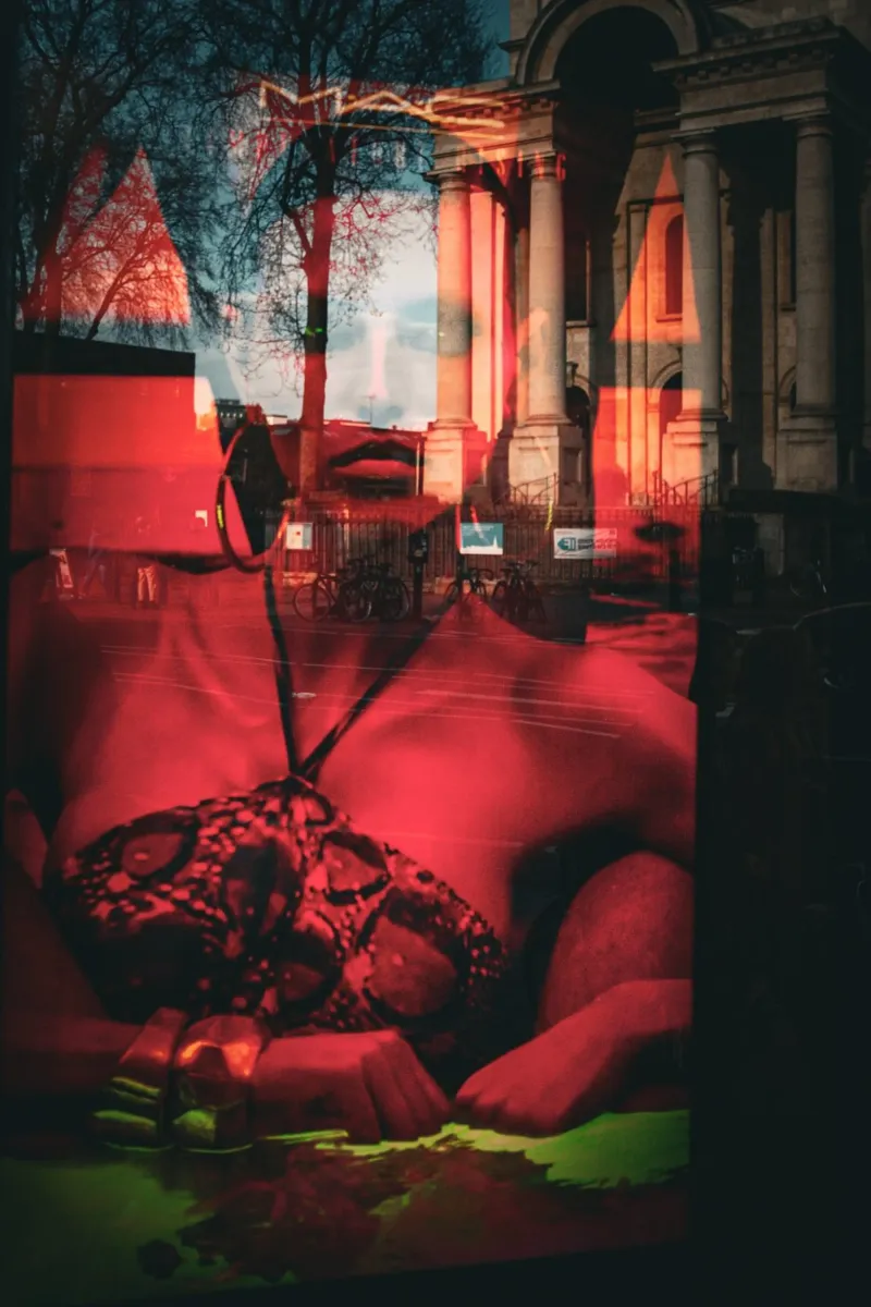 The red Queen pellicola backlit da Jonas Klein