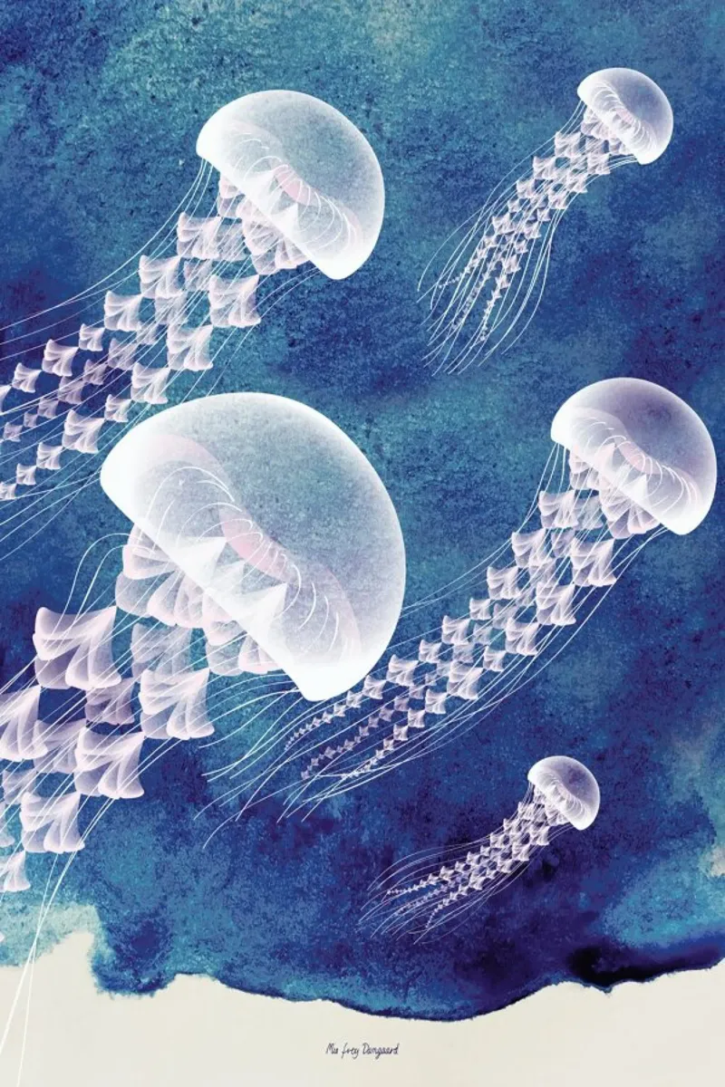 Jellyfish poster con telaio in legno da Mie Frey Damgaard