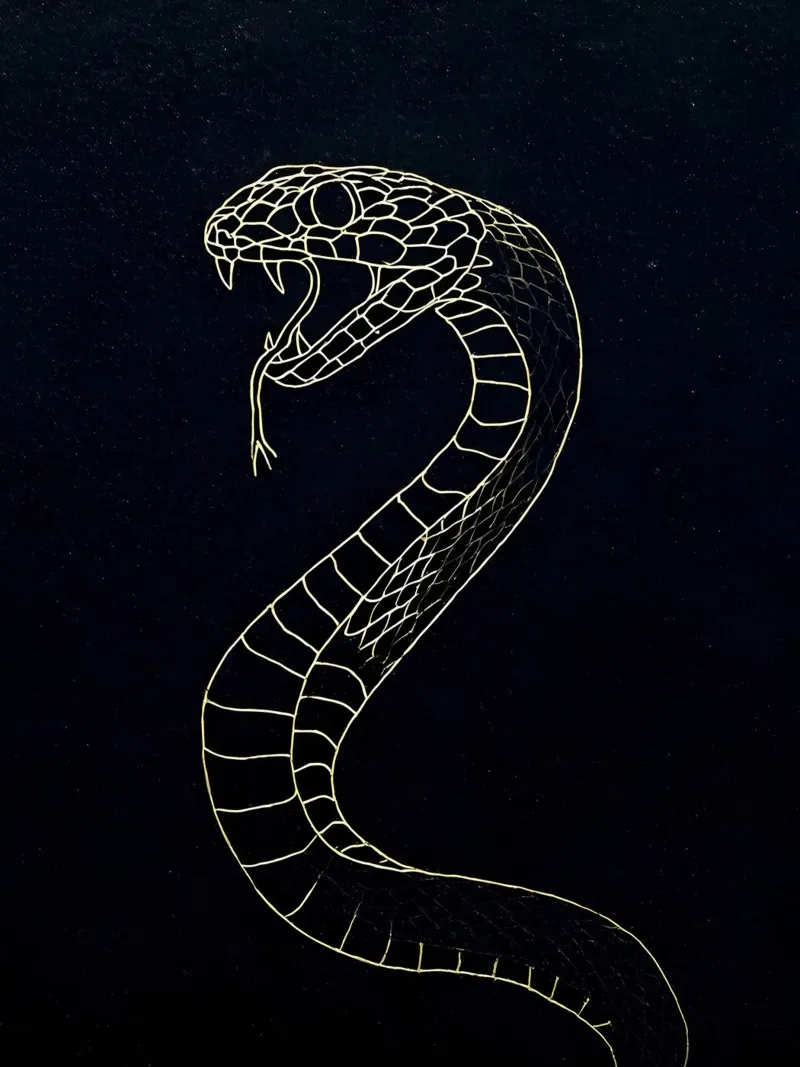 Serpente - Line art minimalista pellicola backlit da Viv Line Art