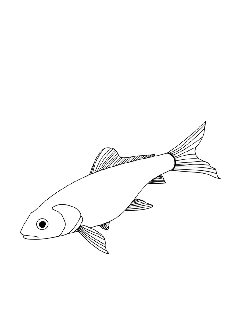 Pesce - Line art minimalista pellicola backlit da Viv Line Art