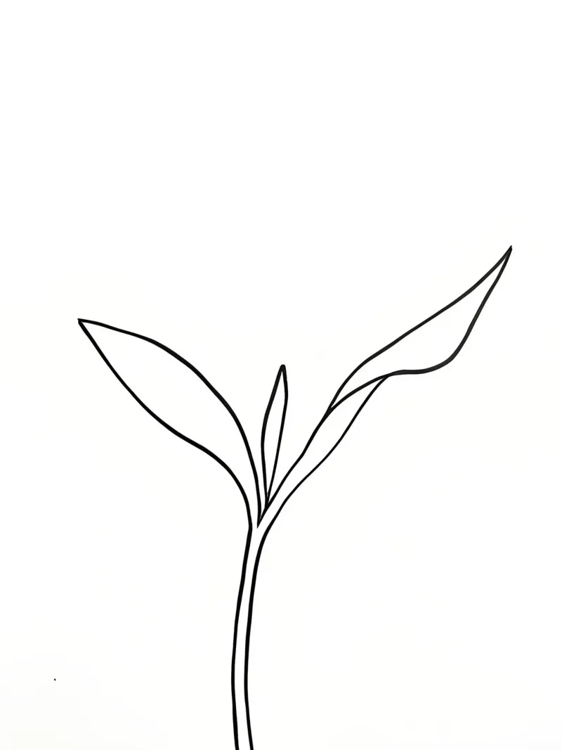 Pianta minimalista in crescita - Disegno botanico di line art. pellicola backlit da Viv Line Art