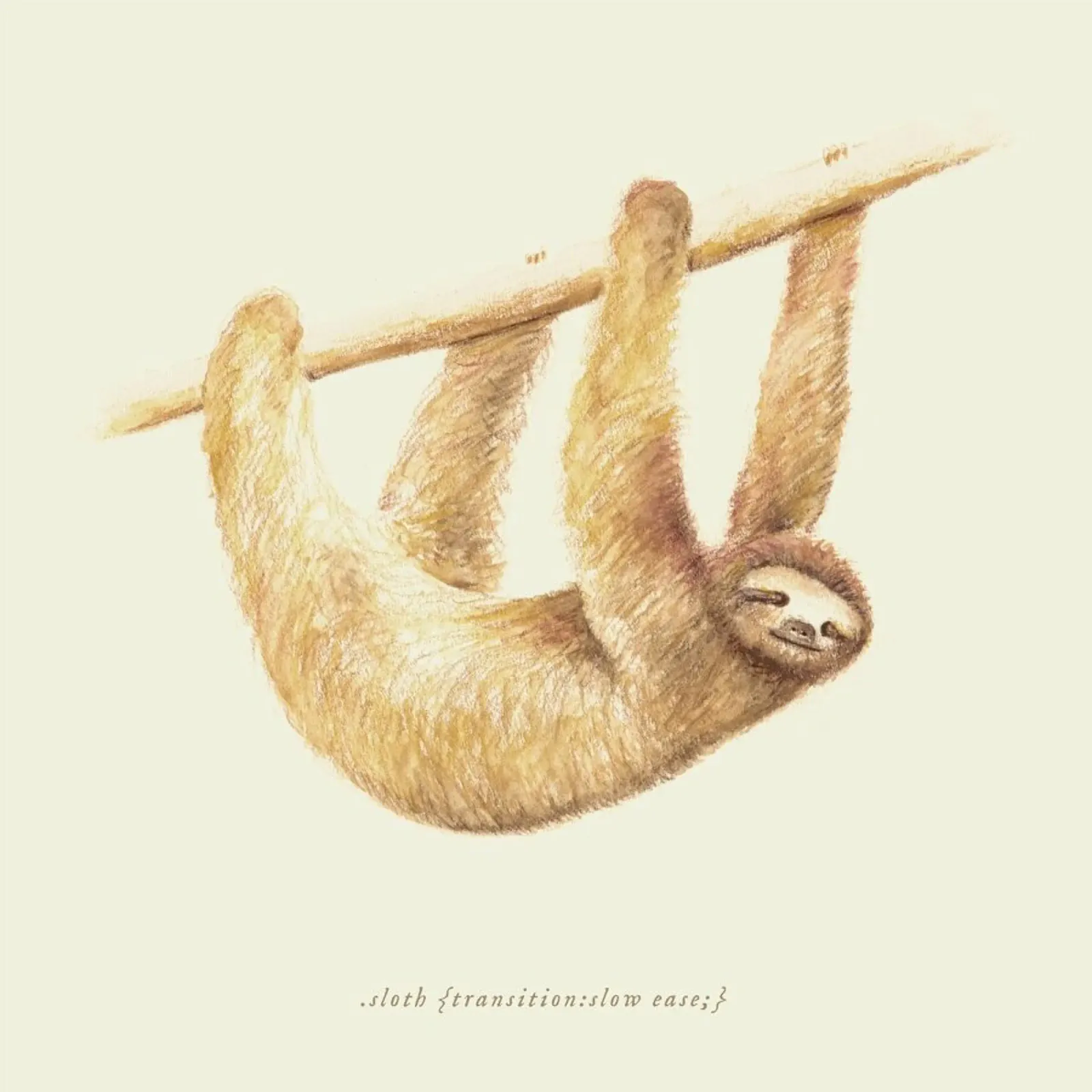Sloth pellicola backlit da Florent Bodart