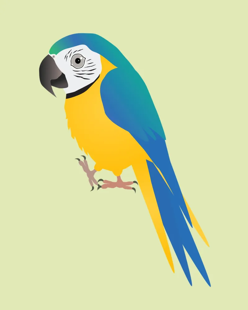 Funny blue and yellow macaw backlit film by BwiseLizzy