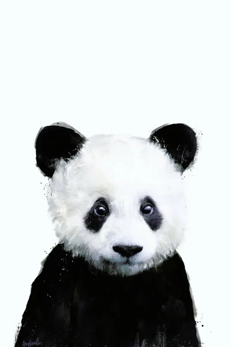 Little Panda poster con telaio in plastica da Amy Hamilton
