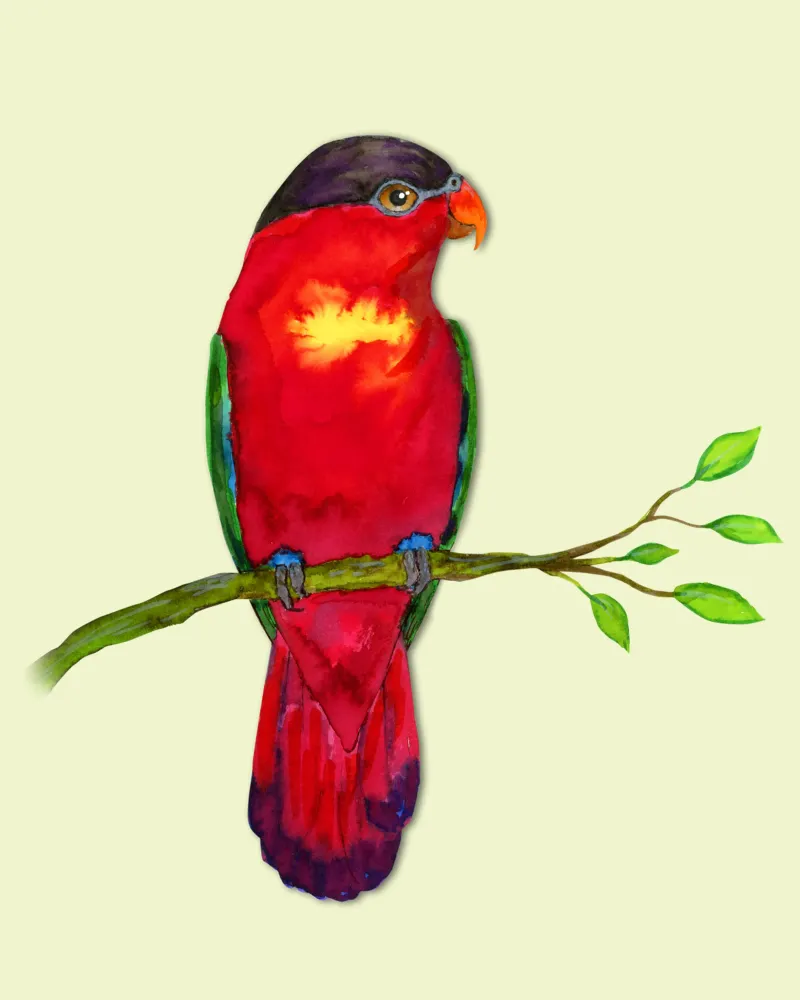 Lory dal naso viola Acquerello pellicola backlit da BwiseLizzy
