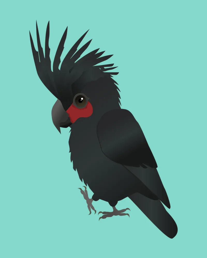 Palmera cacatúa ilustración vectorial metacrilato de BwiseLizzy