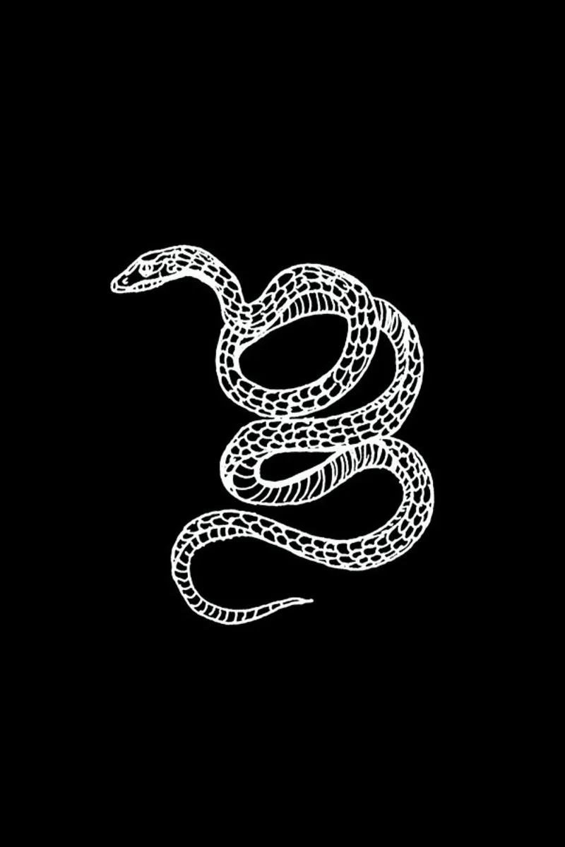 Snake Black hahnemühle by Daniela Roessler