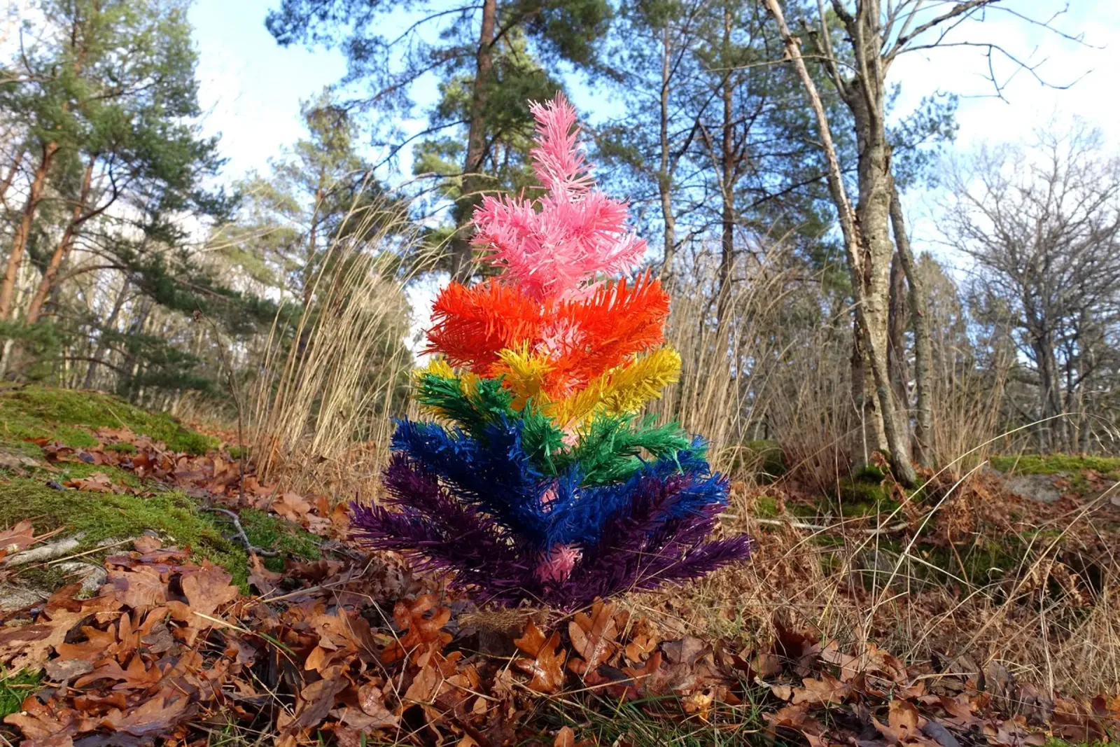 Albero di Raimbow poster da Massimo Frascogna
