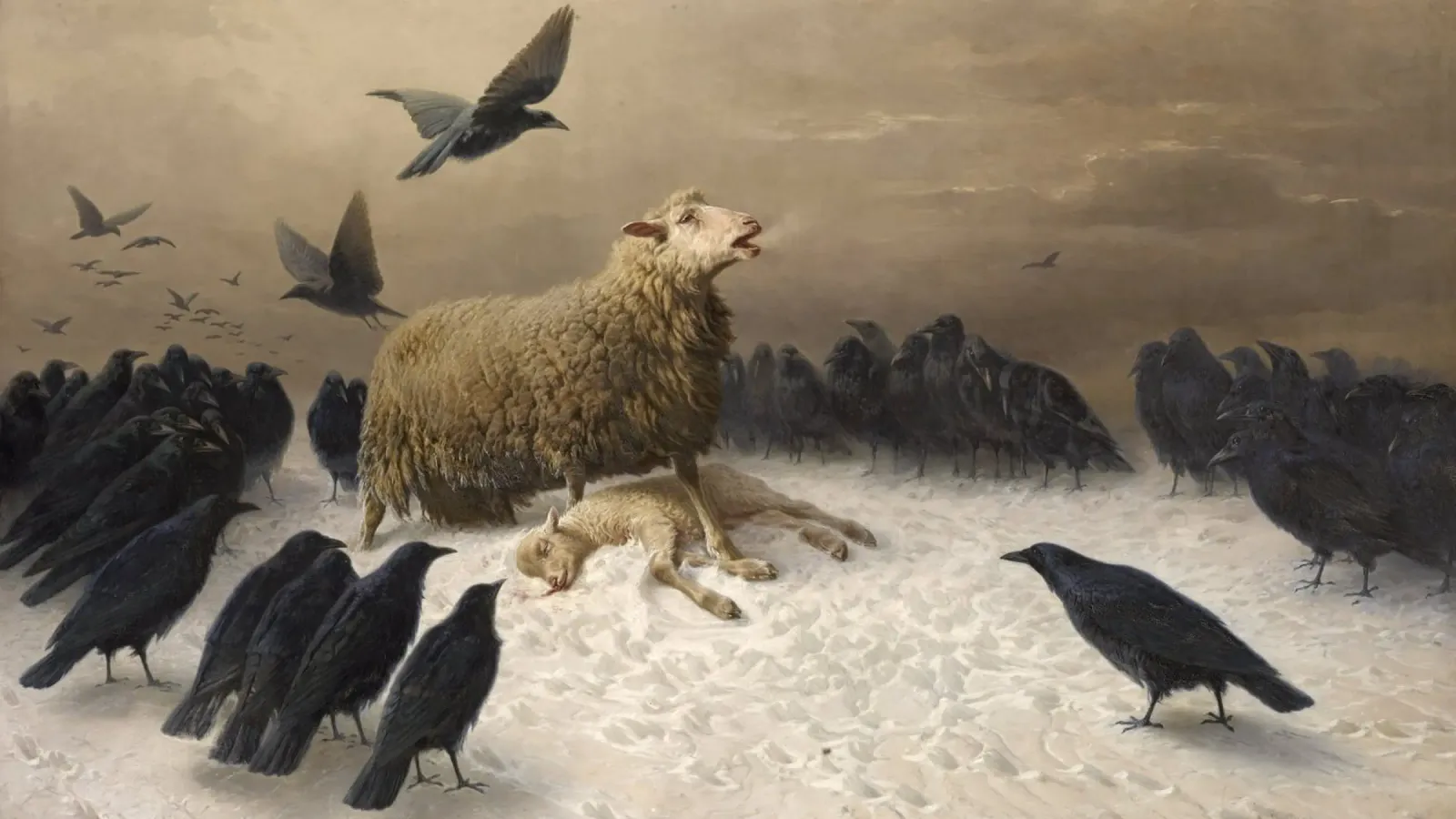 August Friedrich Schenck - Angoscia carta hahnemühle da Timeless Artworks