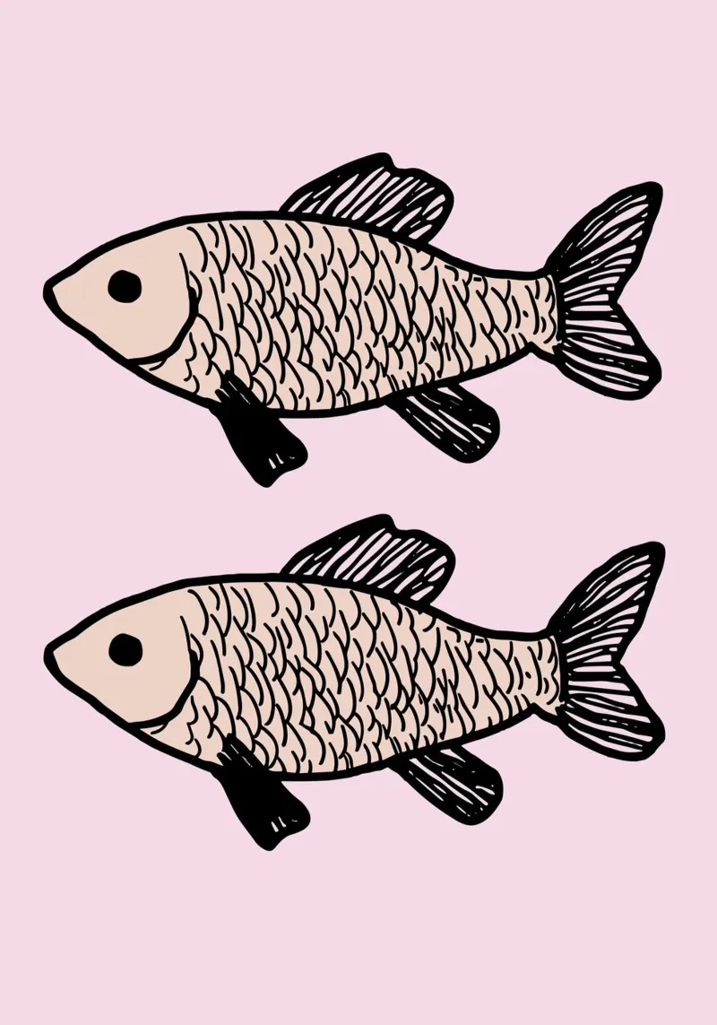 Two identical fish pellicola backlit da ramosashop