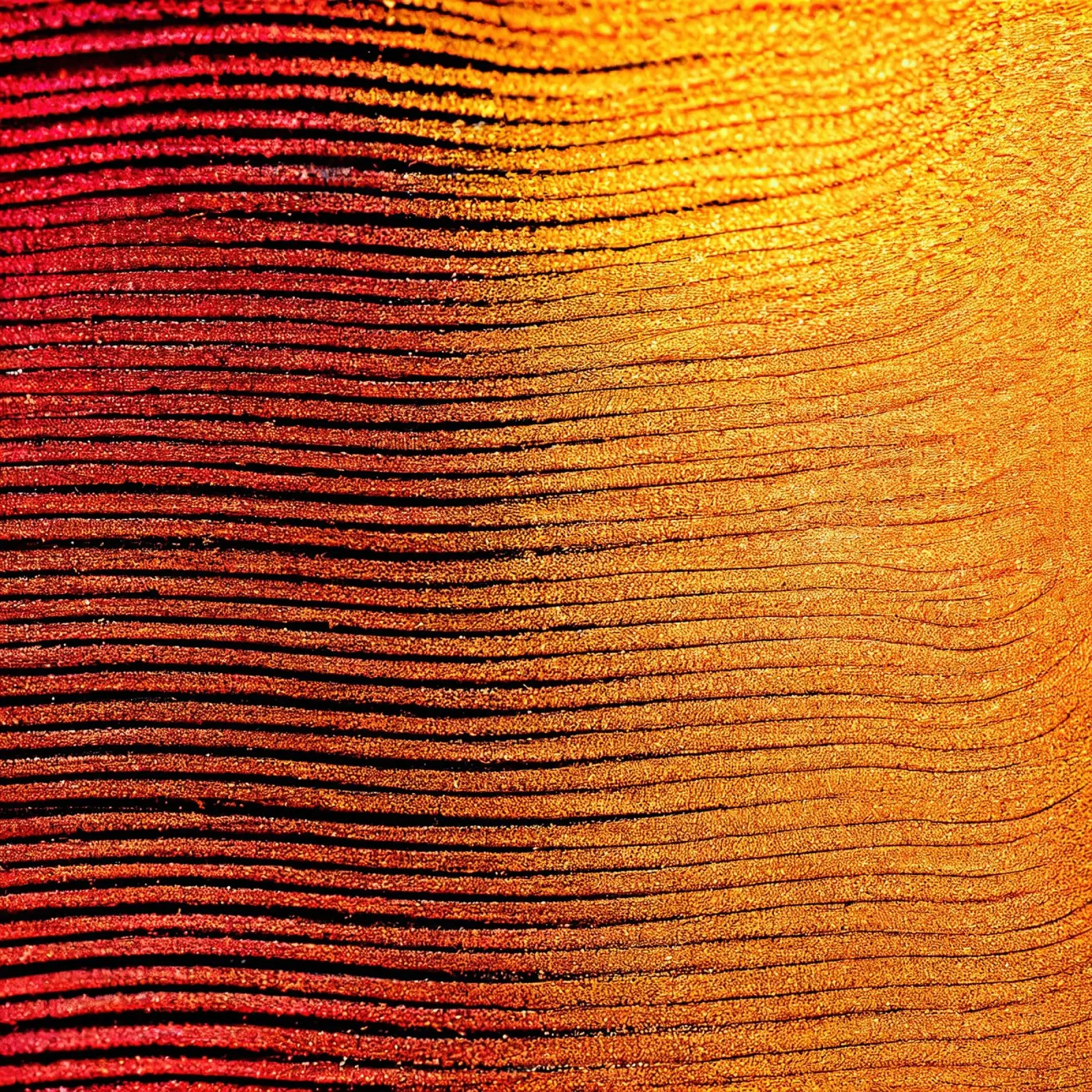 Macro Cobra Saffron Flower plexiglass da Bold Blooms