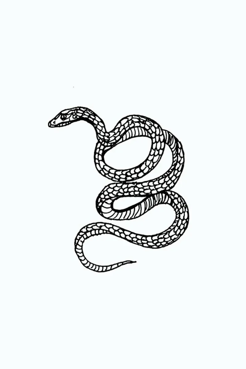 Snake White Leinwand von Daniela Roessler