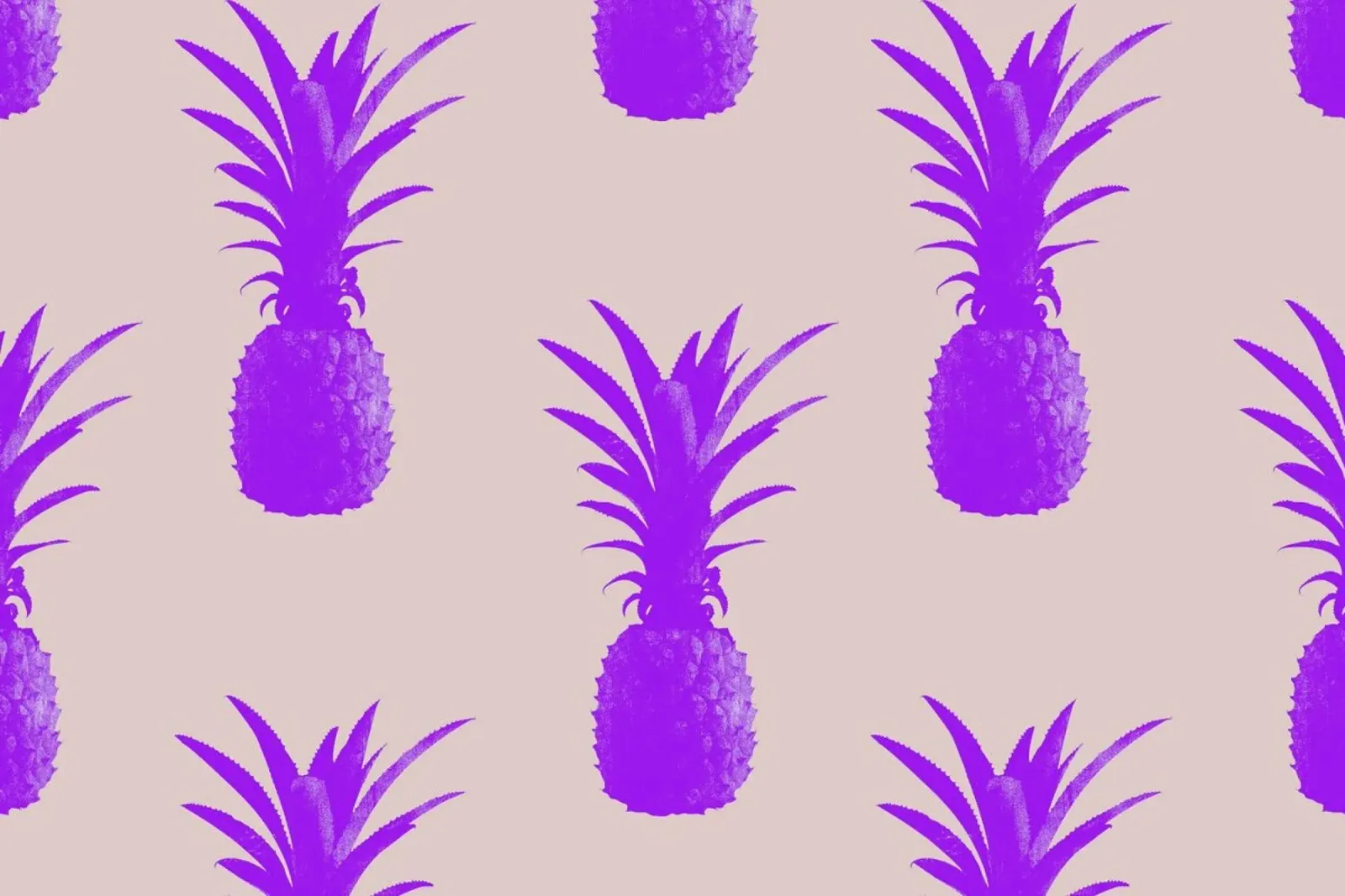 Pineapple Heaven pellicola backlit da STUDIO LEEMO