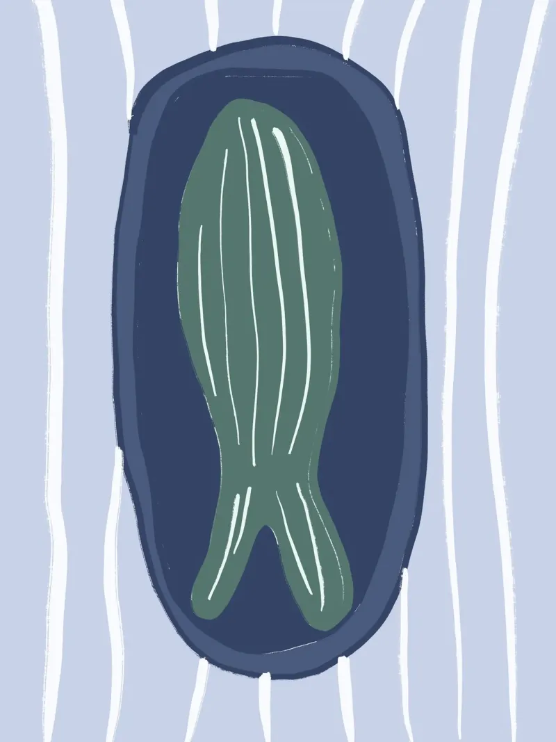 Fish on Plate poster da treechild
