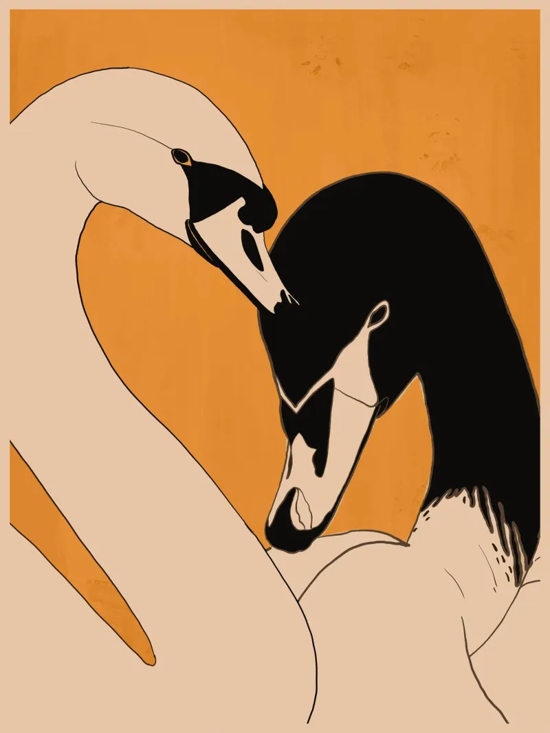Dos cisnes 2 metacrilato de ThingDesign