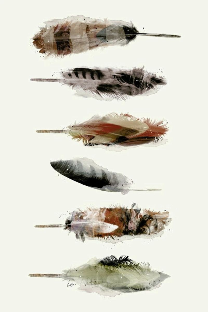 Free Fall Feathers Leinwand von Brian Buckley