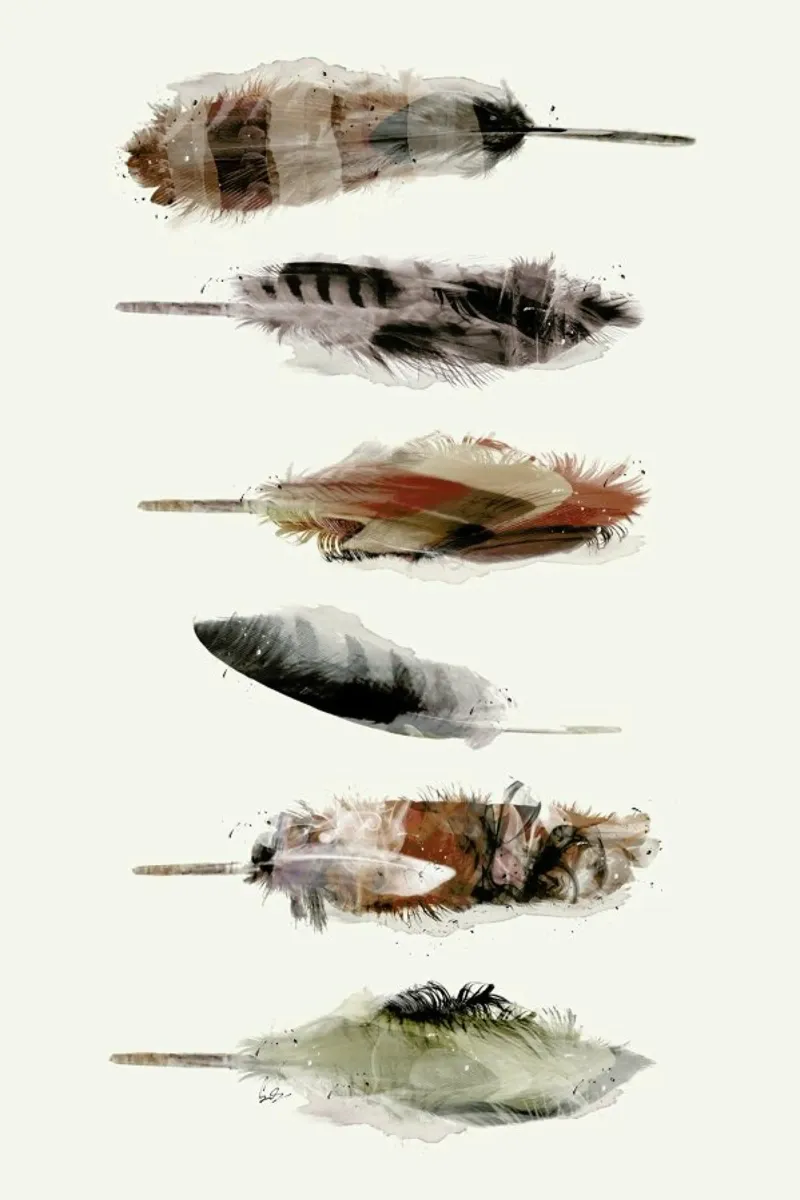 Free Fall Feathers pellicola backlit da Brian Buckley
