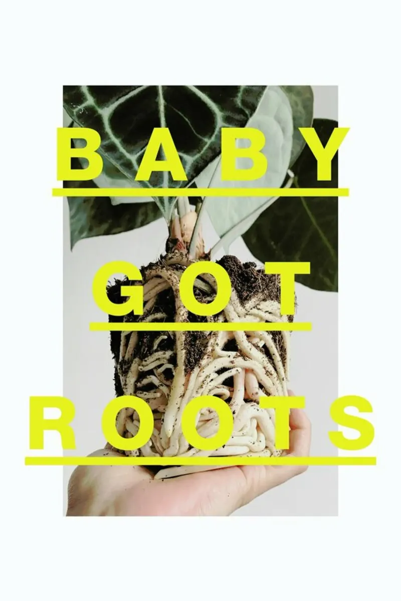 Baby Got Roots tela con Cornice a cassetta da Evita Witzenhausen