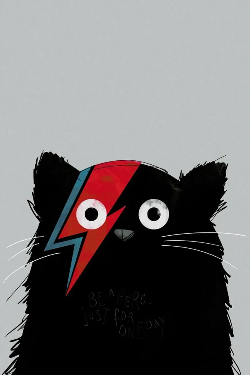 Cat Hero alluminio dibond da Doozal