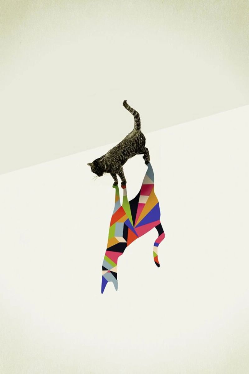 Walking Shadow - Cat poster by Jason Ratliff