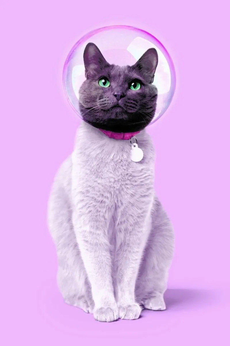 Space Cat hahnemühle by Paul Fuentes Design