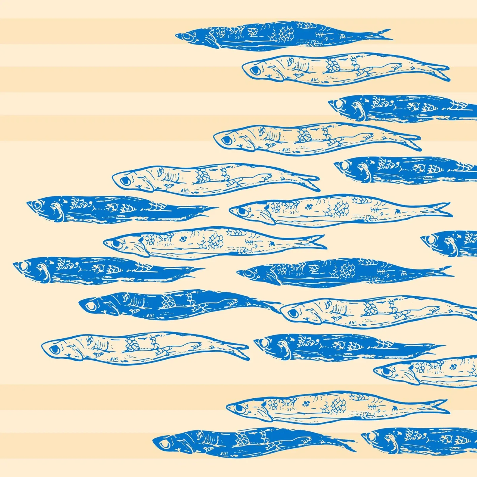 Sardine Serenade pellicola backlit da EDMPROJECT