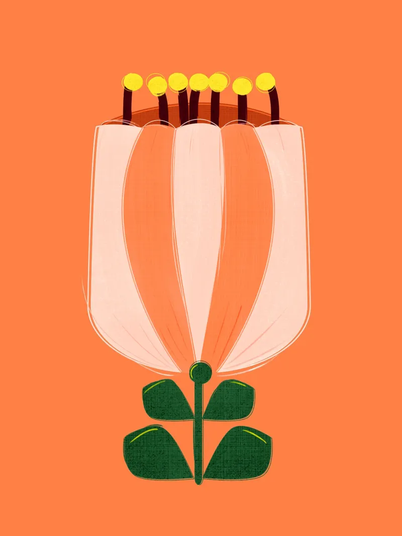 Minimalist Tulip Art Print - Orange and White poster met houten frame van showmemars