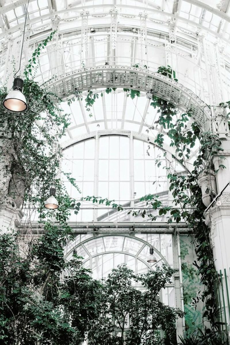 Palmenhaus Poster von Picture On The Fridge