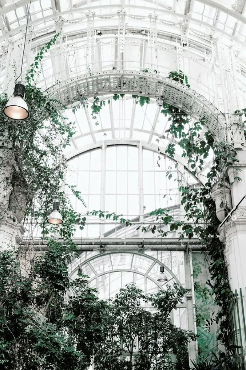 Palmenhaus hahnemühle by Picture On The Fridge