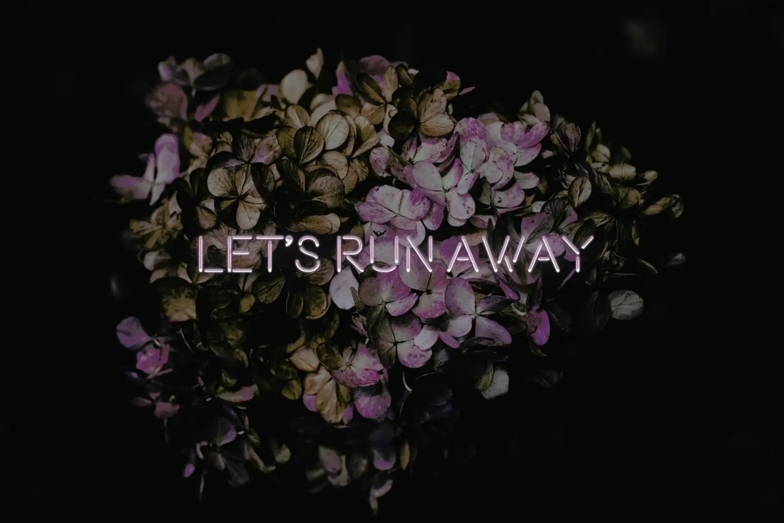 Let's run away pellicola backlit da Oh Darling