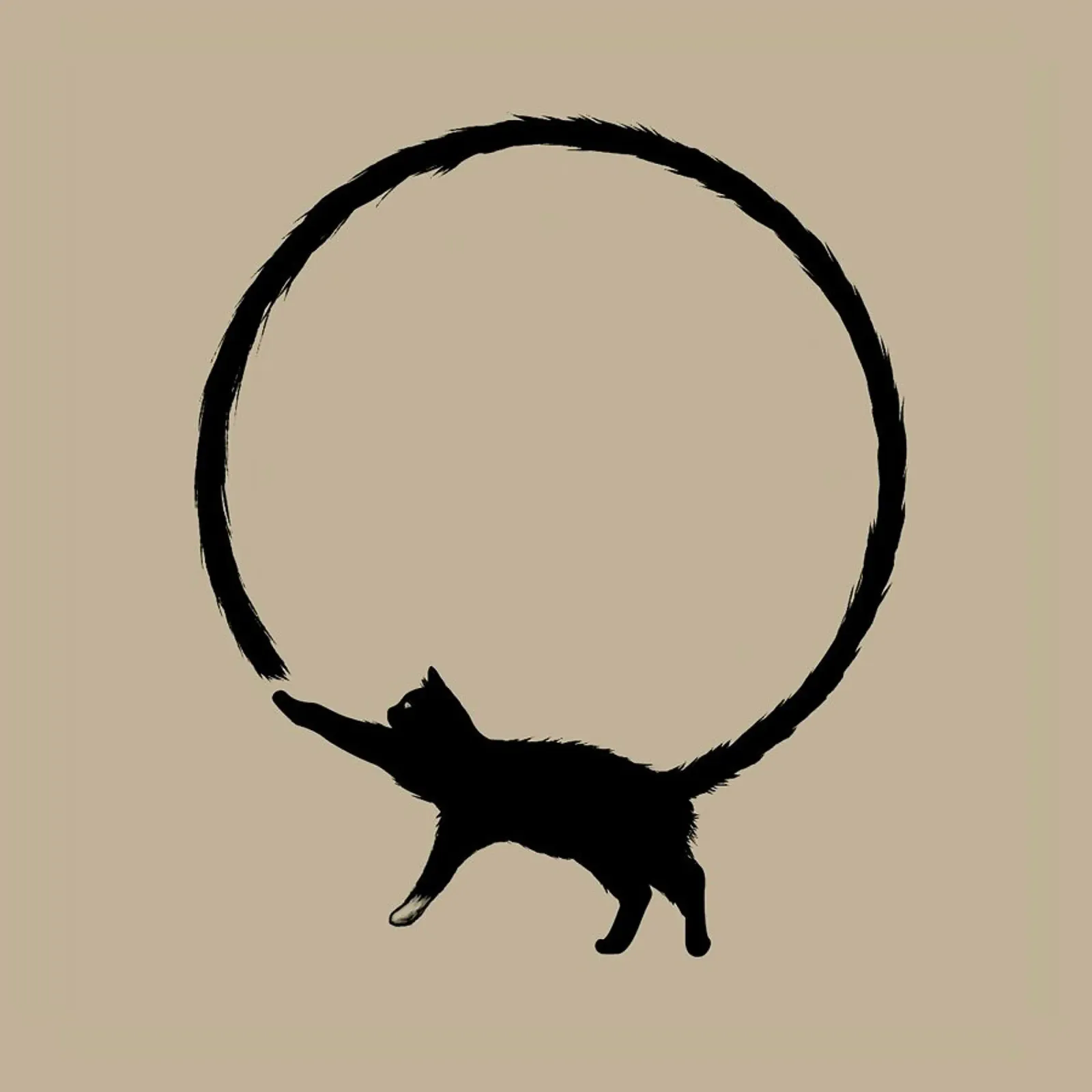 Cat Circle pellicola backlit da Jared Yamahata