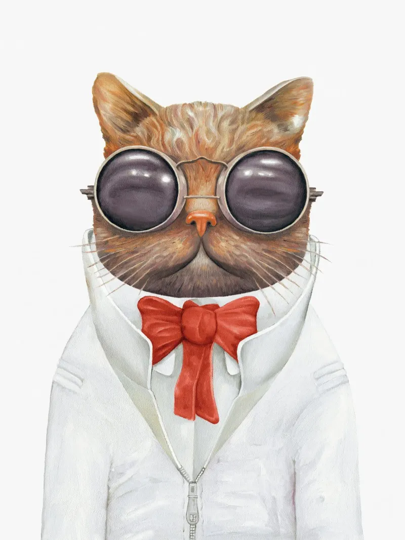 Gatto Astro carta hahnemühle da Animal Crew