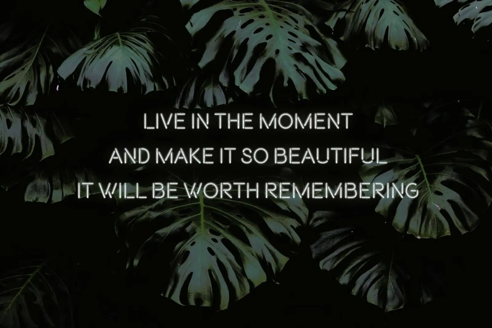 Live in the moment pellicola backlit da Oh Darling