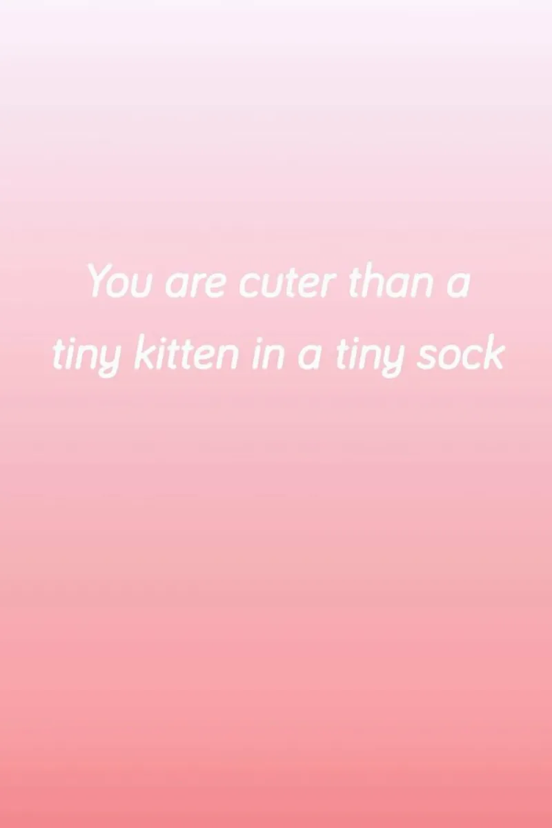 Cuter Than Kittens pellicola backlit da Oh Darling