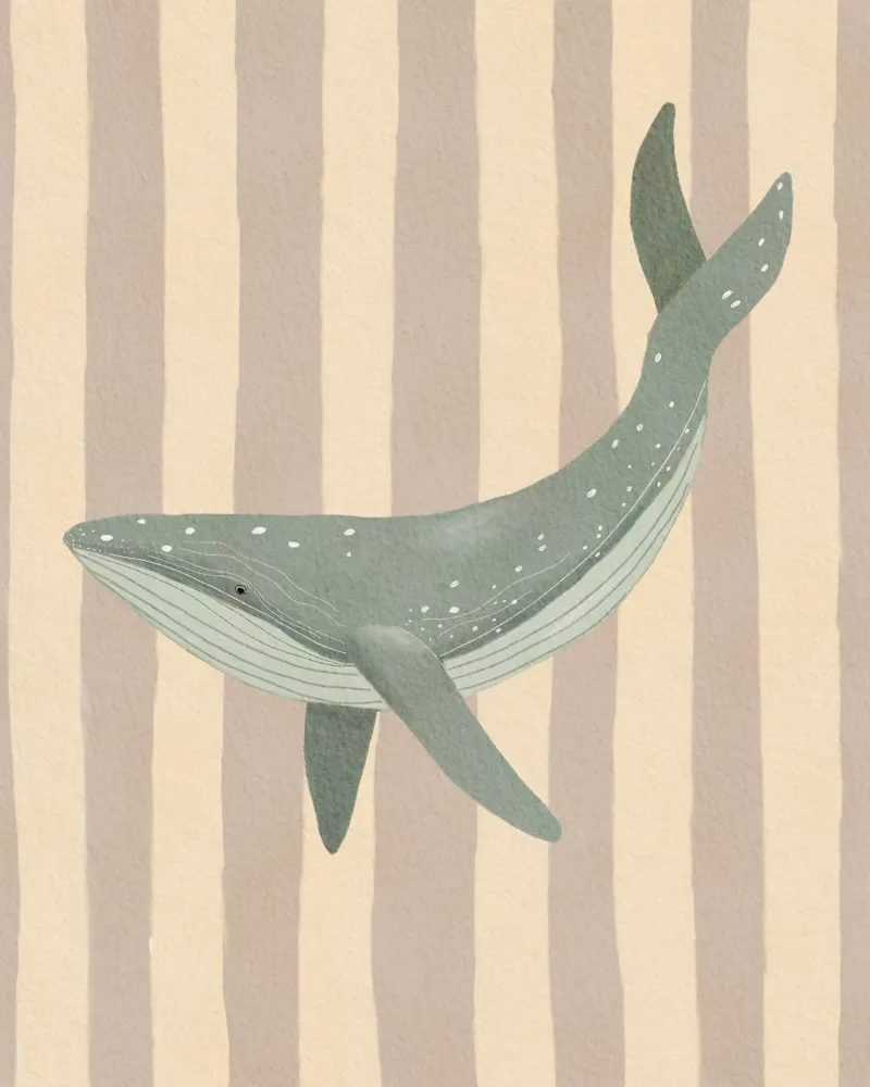 Whimsical Whale illustration and Stripes metacrilato de Urchin Bay Art