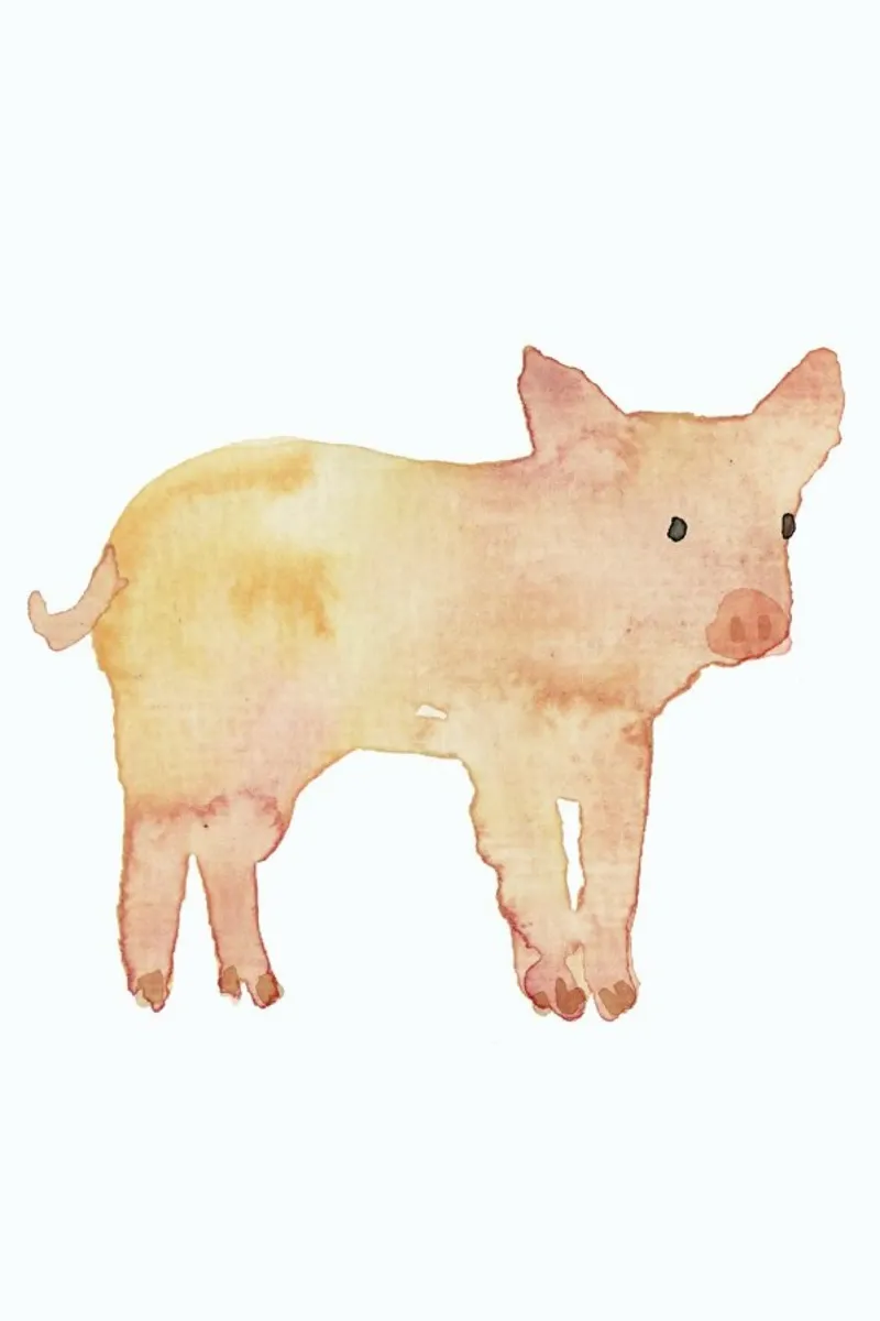 Pig carta hahnemühle da Farina Kuklinski