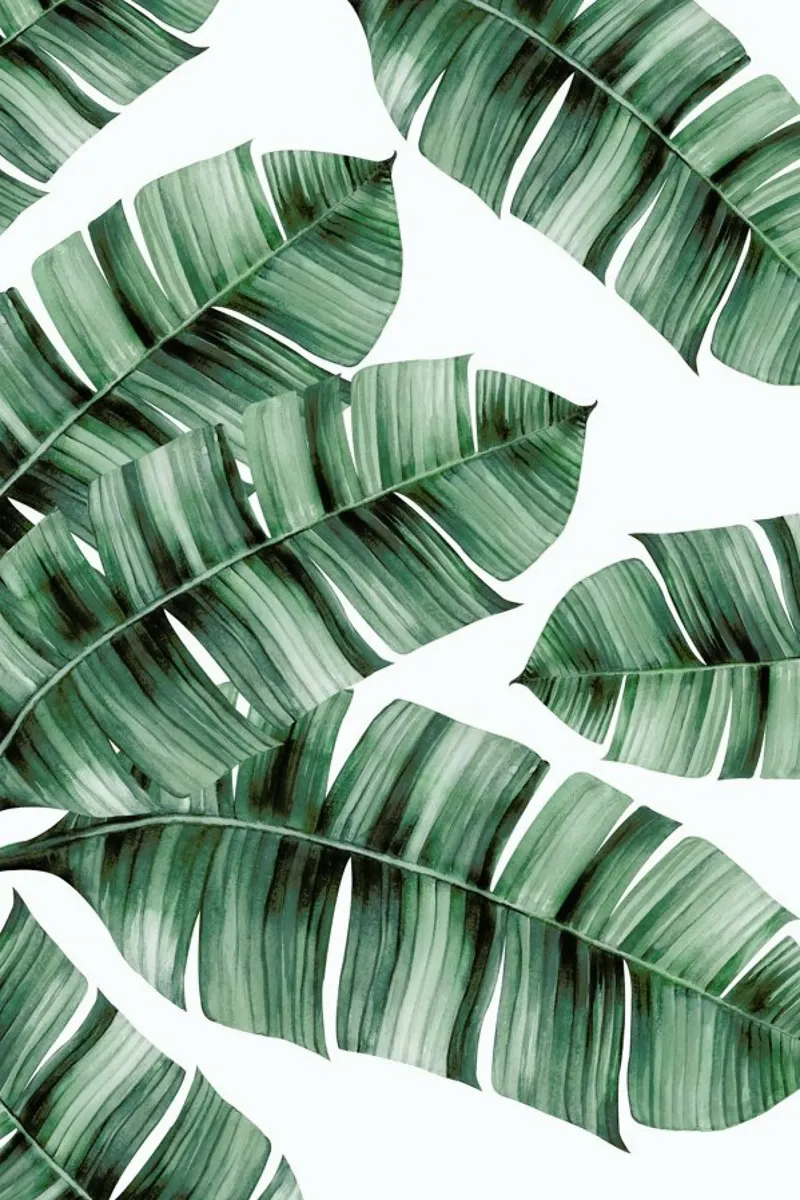Tropical No. 8 alluminio dibond da typealive