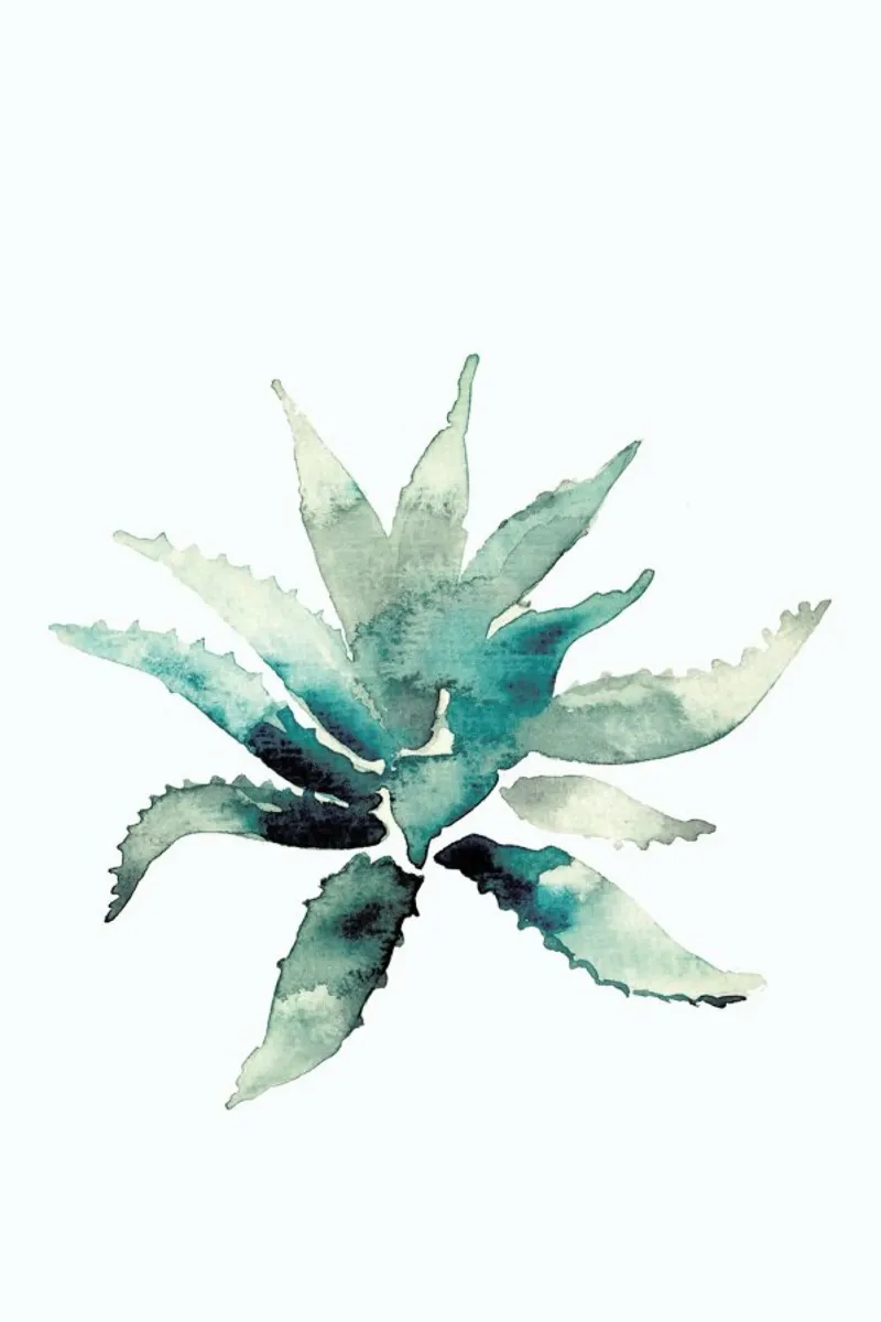 Agave pellicola backlit da Farina Kuklinski